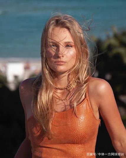 但凭借高强 但凭借高强